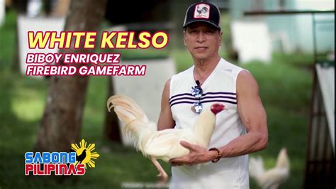 KELSOS NA NAGPASIKAT NI BIBOY ENRIQUEZ .